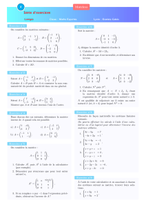 S&eacute;rie d'exercices sur les matrices avec corrig&eacute;s pour maths expertes