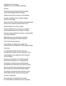 Hepatitis B Virus Serology: Phases & Diagnostic Markers