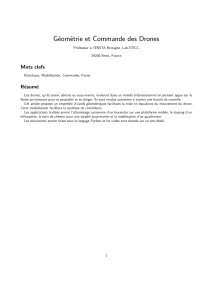 G&eacute;om&eacute;trie et Commande des Drones : Mod&eacute;lisation et Contr&ocirc;le