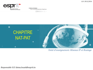Chapitre NAT-PAT : R&eacute;seaux IP et Routage