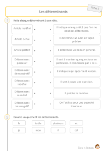 Les d&eacute;terminants : Exercices de grammaire fran&ccedil;aise