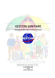 Gestion Sanitaire : Gestion des &Eacute;tablissements de Sant&eacute; au Cameroun