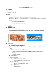 Infections de la main : Panaris et Phlegmons