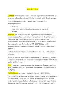 Bact&eacute;ries et Virus: Microbes et Maladies Infectieuses