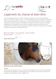 Logement du cheval et bien-&ecirc;tre