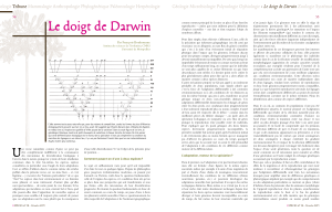 Le doigt de Darwin : M&eacute;canismes de sp&eacute;ciation