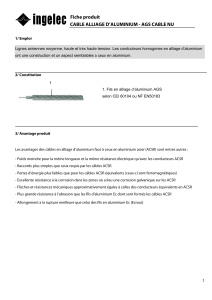 cable alliage d aluminium ags cable nu