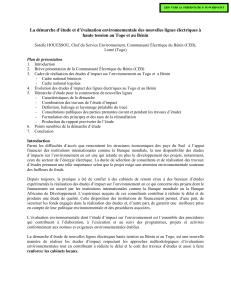 D&eacute;marche d'&eacute;tude environnementale des lignes &eacute;lectriques haute tension Togo B&eacute;nin