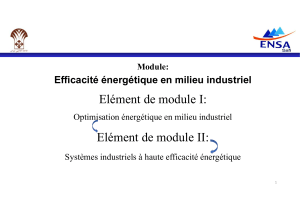 Module Efficacit&eacute; &Eacute;nerg&eacute;tique Industrielle