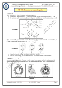 TD N&deg;3 : Exercices sur la gam&eacute;togen&egrave;se