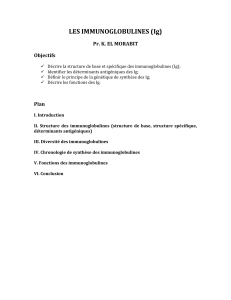 Les Immunoglobulines (Ig) : Structure, Fonctions et G&eacute;n&eacute;tique