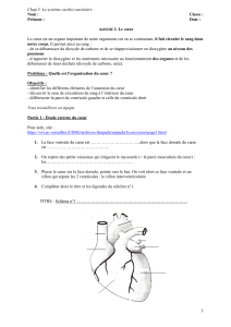 Activit&eacute; 2: Le c&oelig;ur - Syst&egrave;me Cardio-vasculaire