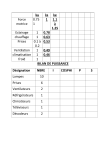 Bilan de Puissance &Eacute;lectrique - Calcul des Charges