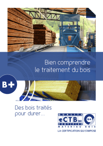 Bien comprendre le traitement du bois : guide technique