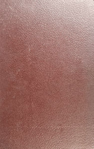 Manuel de kin&eacute;sith&eacute;rapie gyn&eacute;cologique