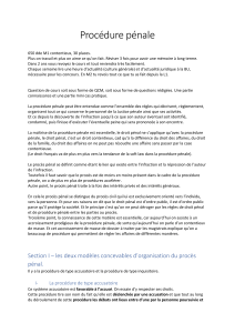 Proc&eacute;dure p&eacute;nale : Cours pour M1 contentieux