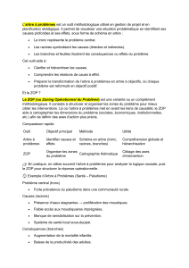 L&rsquo;arbre &agrave; probl&egrave;mes et le ZOP : outils de gestion de projet