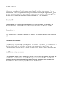 La fiche d'identit&eacute; de l'ornithorynque