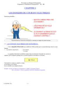 Pr&eacute;vention des Risques &Eacute;lectriques - Formation B2V BC BR