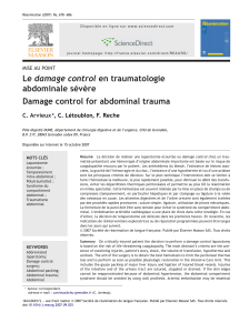 Damage control en traumatologie abdominale s&eacute;v&egrave;re | R&eacute;animation 2007