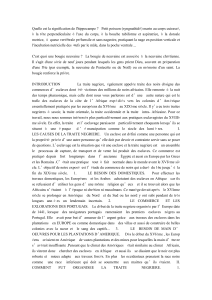 A Traite Negreira: Causas e Organiza&ccedil;&atilde;o do Com&eacute;rcio de Escravos