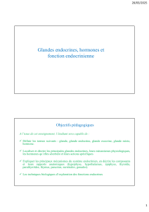 Glandes endocrines, hormones et fonction endocrinienne