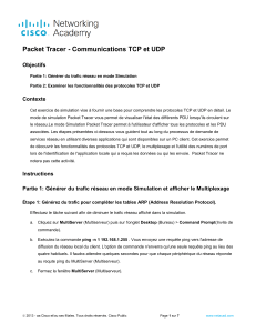 Packet Tracer - Communications TCP et UDP
