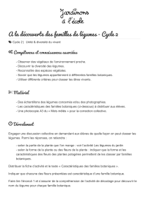 D&eacute;couverte des familles de l&eacute;gumes - Cycle 2