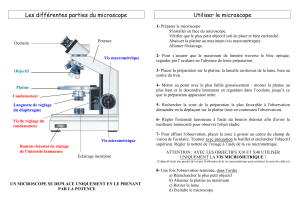 Guide d'utilisation du microscope : parties et &eacute;tapes