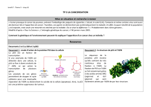 TP 3 La Cancerisation : Guide de Travaux Pratiques SVT