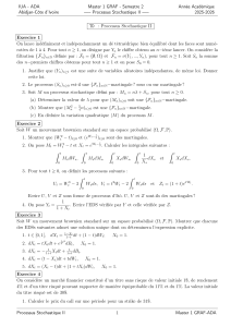 Exercices de Processus Stochastique II - Master 1 GRAF