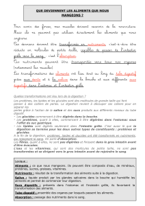 O que acontece aos alimentos que comemos? Digest&atilde;o e absor&ccedil;&atilde;o