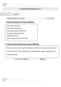 &Eacute;valuation de fran&ccedil;ais CE1 : Phrases, Sujets, Verbes