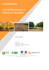 agroforesterie-outil-de-sequestration-du-carbone-en-agriculture