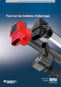 Tout sur les bobines d'allumage : guide technique BERU