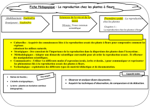 Fiche p&eacute;dagogique : Reproduction des plantes &agrave; fleurs