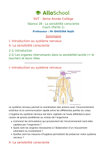 Cours SVT 3&egrave;me Coll&egrave;ge : La sensibilit&eacute; consciente (Partie 1)