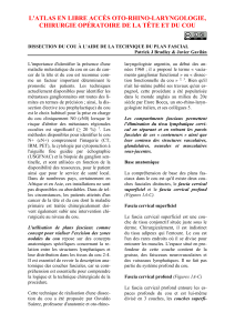 Dissection du cou par technique fasciale - Atlas ORL gratuit