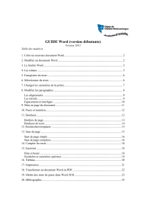 Guide Word 2013(d&eacute;butante)