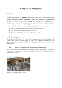 P&eacute;dogen&egrave;se : Processus de formation des sols