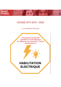 Manuel de formation &eacute;lectrique - Norme NF C 18-510