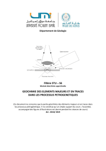 G&eacute;ochimie des &eacute;l&eacute;ments majeurs et en traces dans les processus p&eacute;trog&eacute;n&eacute;tiques
