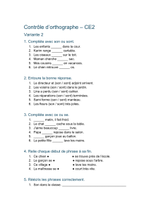 Contr&ocirc;le d'orthographe CE2 Variante 2