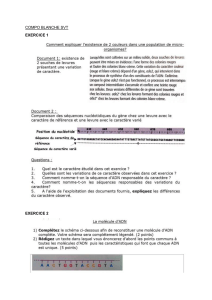 Biology Exercises: Yeast Colonies & DNA Structure