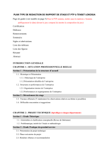 Mod&egrave;le de rapport de stage et PTP &agrave; l'ENSET Lokossa