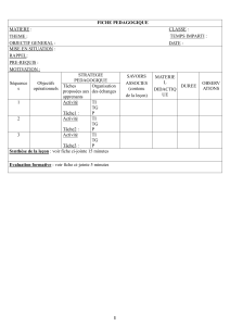 Fiche p&eacute;dagogique : Plan de le&ccedil;on sur le syst&egrave;me d'alimentation en carburant