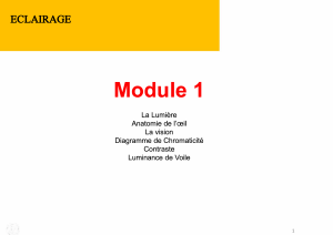 Module 1 : La Lumi&egrave;re et la Vision