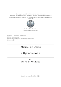 Manuel de cours universitaire : Optimisation pour &eacute;tudiants de Master 1 en Automatique