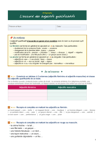 Accord des adjectifs qualificatifs - Exercices