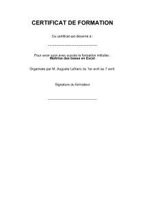 Certificat de formation : Ma&icirc;trise des bases en Excel
